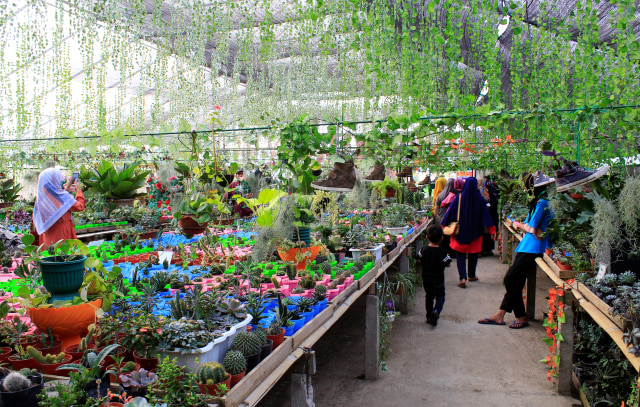 Green House Lezatta Wisata Imajinasi Yang Jadi Kenyataan Kumparan Com