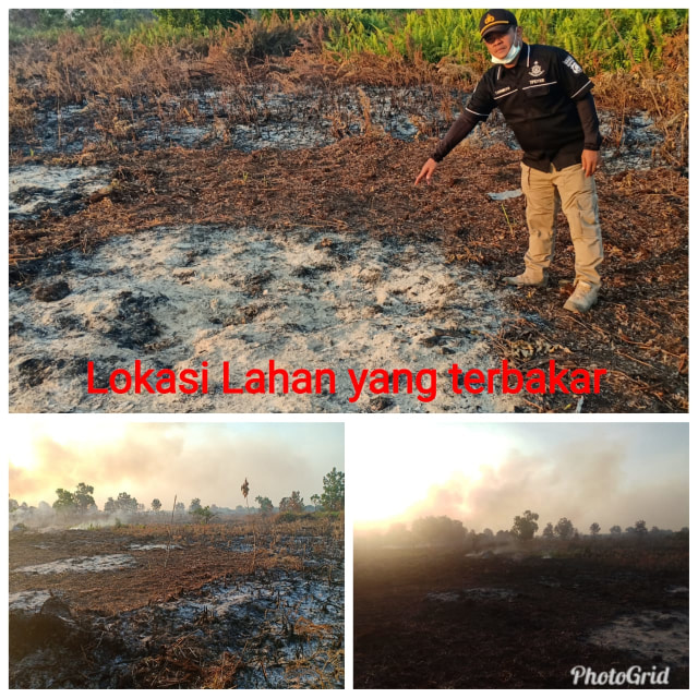 Pembakaran lahan di Pontianak. (Foto: Dok. Polda Kalbar)