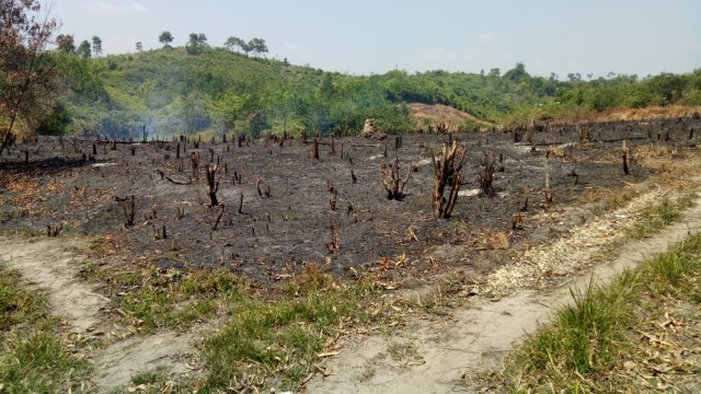 Lahan di Kalimantan Barat yang dibakar, Senin (20/8/18). (Foto: Dok Polda Kalbar)