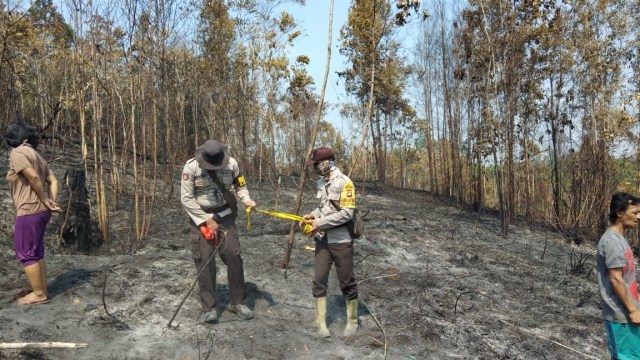 Polisi memberi garis kuning tempat warga Suntang yang tewas terbakar saat membakar hutan. (Foto: Dok Polda Kalbar)