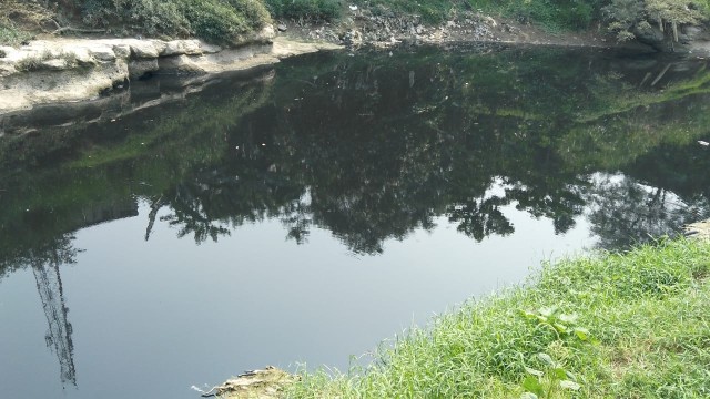 Kondisi Sungai Cileungsi di Bojongkulur, Bogor. (Foto: Dok. Puarman, Ketua Komunitas Peduli Sungai Cileungsi Cikeas (KP2C).)