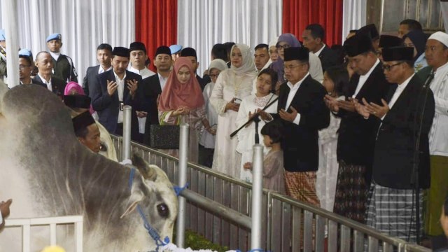 Wakil Presiden Jusuf Kalla(kiri) dan Ketua MPR Zulkifli Hasan (ketiga kiri)  saat menyerahkan hewan Qurban pada Idul Adha 1439 H di Masjid Istiqlal, Jakarta (22/8/18). (Foto: Iqbal Firdaus/kumparan)