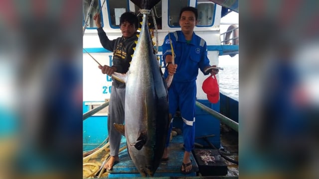 Ikan Tuna Raksasa (Foto: Dok. Istimewa)