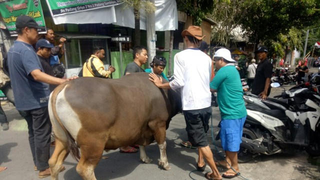 Masyarakat Hindu di Bali turut berpartisipasi berkurban Idul Adha, Rabu (22/8/2018). (Foto: Cisilia Agustina Siahaan/kumparan)