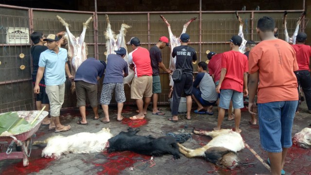 Masyarakat Hindu di Bali turut berpartisipasi berkurban Idul Adha, Rabu (22/8/2018). (Foto: Cisilia Agustina Siahaan/kumparan)