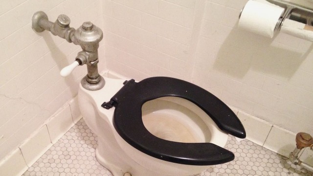 Dudukan toilet berbentuk U (Foto: Wikimedia Commons)