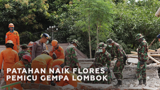 Mengenal Patahan Naik Flores si Pemicu Rangkaian Gempa Lombok (88863)