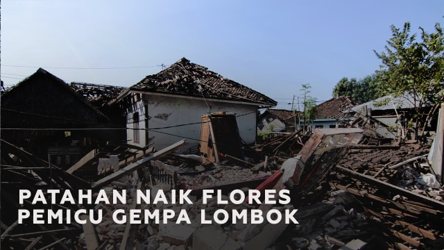 Mengenal Patahan Naik Flores si Pemicu Rangkaian Gempa Lombok (88859)