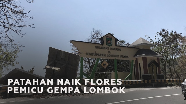 Mengenal Patahan Naik Flores si Pemicu Rangkaian Gempa Lombok (88860)
