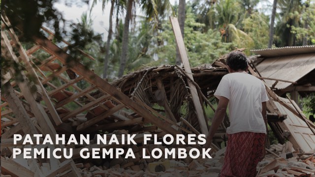 Mengenal Patahan Naik Flores si Pemicu Rangkaian Gempa Lombok (88861)