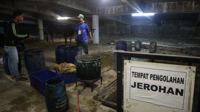 Pengolahan Limbah Penyembelihan Hewan Kurban Hingga Menjadi Kompos di Surabaya (23/8/18). (Foto: Phaksy Sukowati /kumparan)