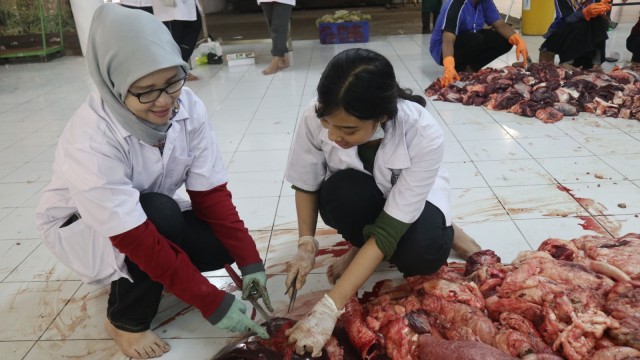 Pengolahan Limbah Penyembelihan Hewan Kurban Hingga Menjadi Kompos di Surabaya (23/8/18). (Foto: Phaksy Sukowati /kumparan)