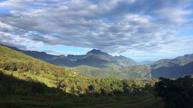 Asa Bertumbuh di Pedalaman Papua