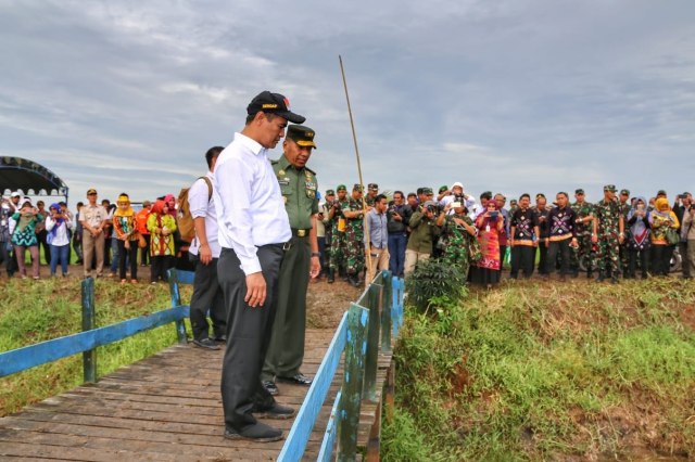 Kementan Serius Garap Lahan Rawa Lebak (Foto: Kementan)