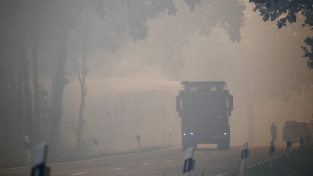 Kebakaran Hutan di Jerman. (Foto: Reuters/Hannibal Hanschke)
