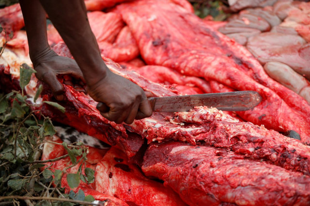 Tradisi Minum Darah, Cara Suku Maasai Dapat Kekuatan Taklukkan Raja Hutan (215943)