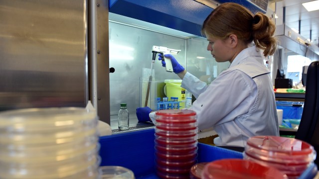 Ilmuwan olah feses manusia di laboratorium. (Foto:  REUTERS/Eric Vidal)