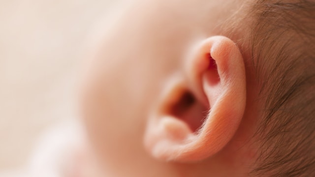 Ilustrasi Telinga dan Pendengaran Bayi (Foto: Pixabay)