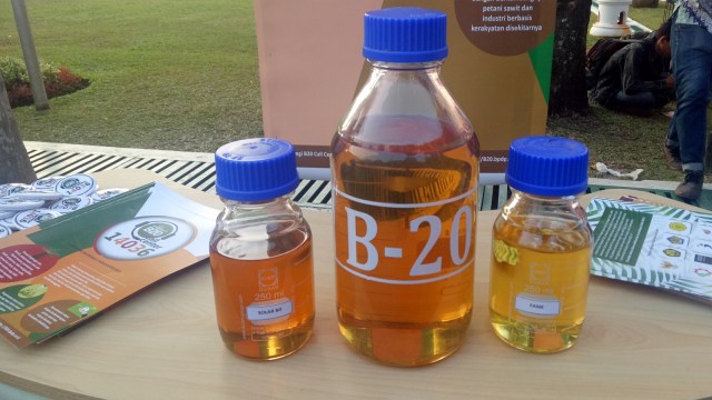 Ilustrasi biodiesel 20 persen (B20). (Foto: Nicha Muslimawati/kumparan)
