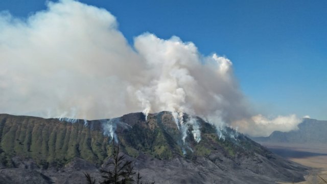 Bukit Teletubbies di Gunung Bromo terbakar (Foto: Twitter @sutopo_pn)
