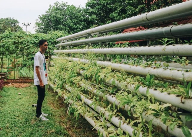 Allianz Ecopark Ancol Wisata Taman Hijau Edukatif Di