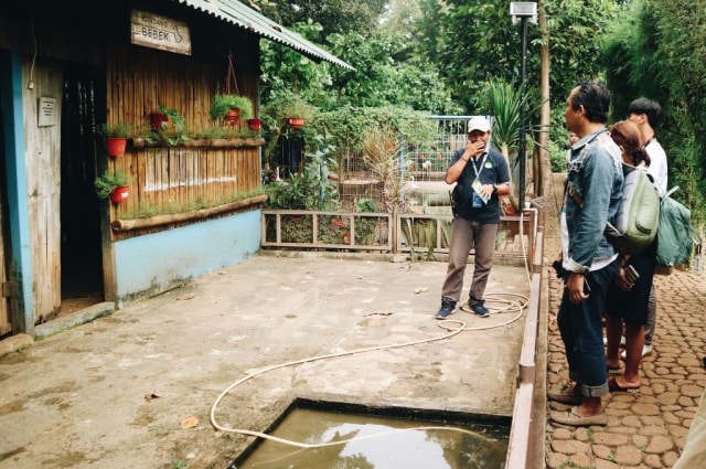 Allianz Ecopark Ancol Wisata Taman Hijau Edukatif Di
