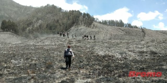 Kebakaran Bromo Capai 600 Hektar