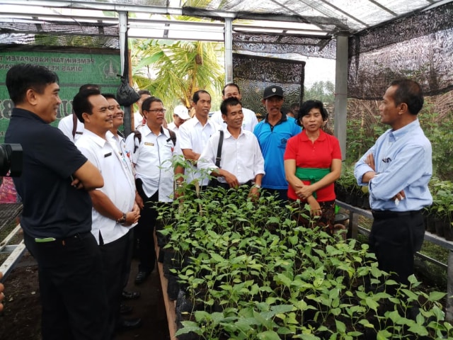 Kementan Kembangkan Lahan Pekarangan Untuk Penuhi Kebutuhan Pangan ...