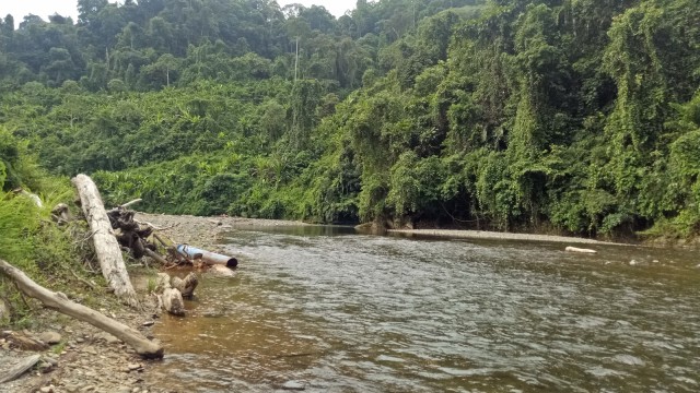 Sungai yang harus disusuri warga perbatasan Kalimantan Utara untuk menuju Malinau, Kamis (06/09/2018). (Foto: Resya Firmansyah/kumparan)