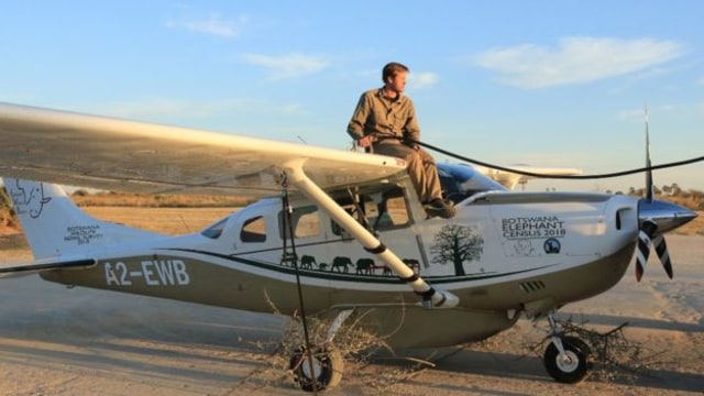 Survei gajah di Botswana dilakukan dengan pesawat kecil (Foto: Elephants Without Borders)