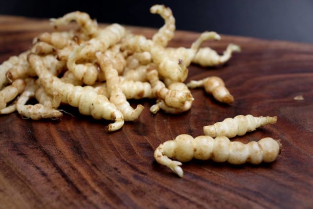 Crosnes, sayuran unik mirip larva (Foto: Instagram/ @specialtyproduceapp)