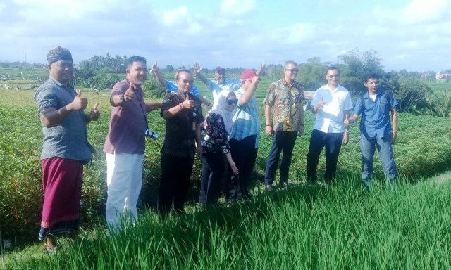 Ini Dia Ekowisata Subak Nan Asri di Pinggir Kota Denpasar