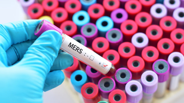 Ilustrasi virus MERS. Foto: Shutter stock