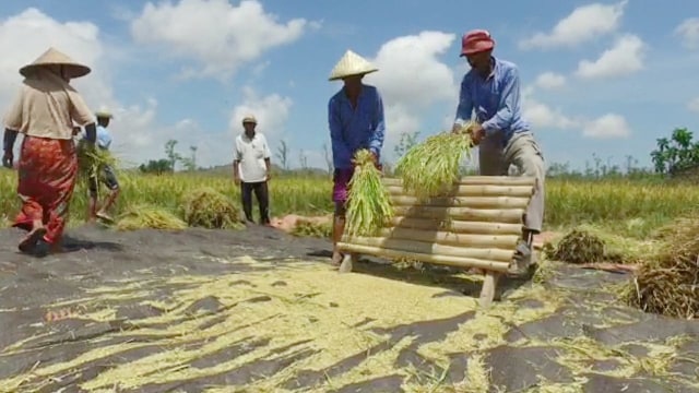 Petani di Banyu Urip (Foto: Kementan)