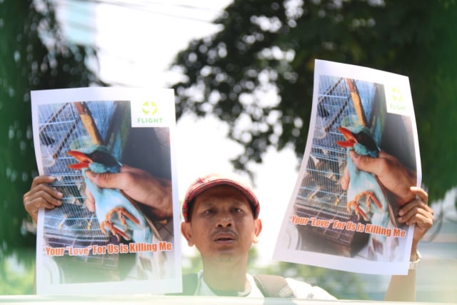 Aksi demonstrasi Flight: Protecting Indonesia’s Birds di Gedung Kementrian LHK,  (Foto: Eny Immanuella Gloria)