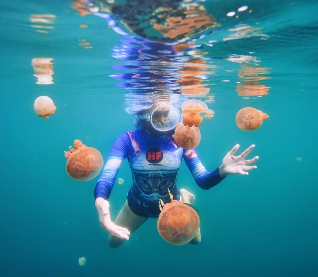 Marischka Berenang Bersama Ubur-ubur di Kepulauan Togean (Foto: Instagram (@marischkaprue))