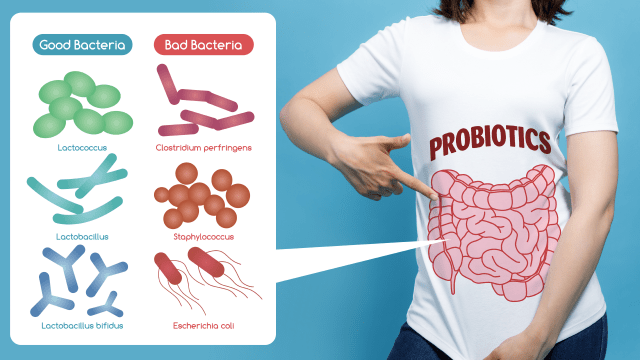 Ilustrasi probiotik (Foto: Shutterstock)