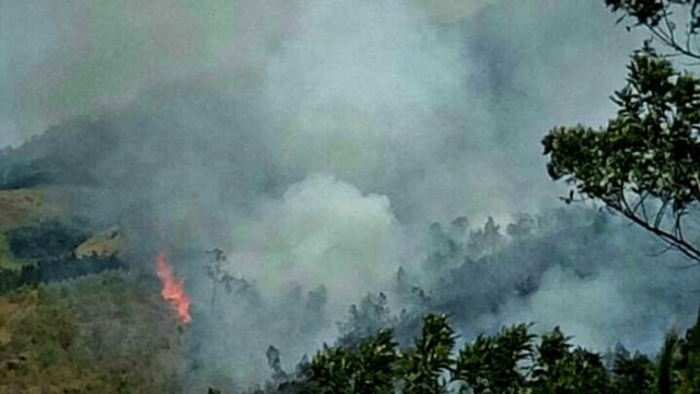 Hutan di Lereng Gunung Arjuno Terbakar