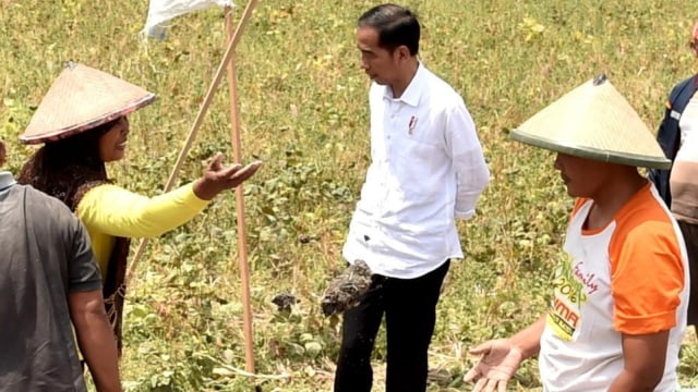 Jokowi Bagikan Sertipikat Tanah di Yogyakarta, Sabtu (15/9/20018). Foto: Biro Pers Setpres
