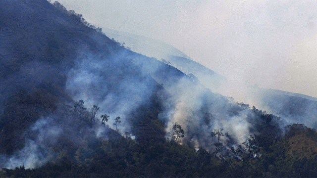 Asap mengepul dari kebakaran hutan gunung Sumbing di Kledung, Temanggung, Jawa Tengah. Foto: ANTARA FOTO/Anis Efizudin