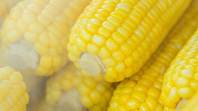 Ilustrasi jagung sebagai MPASI (Foto: Pexels)