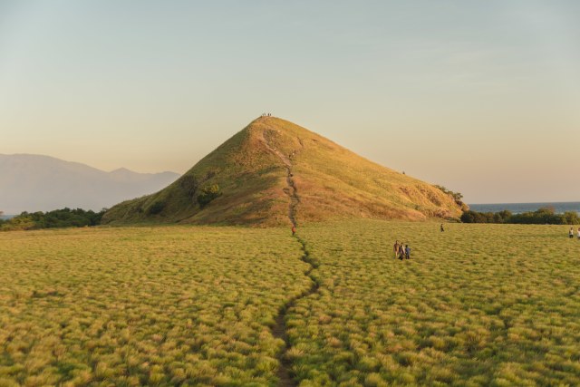 Hamparan Padang Rumput Hijau di Pulau Kenawa