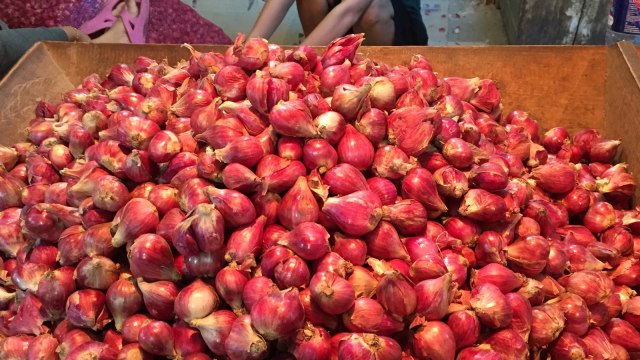 Bawang merah di Pasar Induk Kramat Jati, Kamis (20/9/2018). (Foto: Elsa Toruan/kumparan)