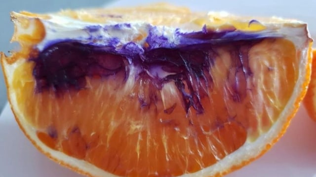 Buah jeruk yang berubah warna. (Foto: Neti Moffitt via Twitter)