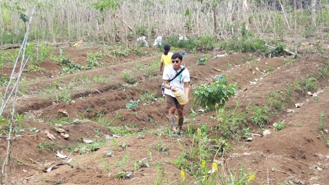 Sobat Air ADES ikut membantu konservasi air untuk pertanian di Bea Muring bersama Romo Marsel, Manggarai Timur, NTT. (Foto: Amanaturrosyidah/kumparan)