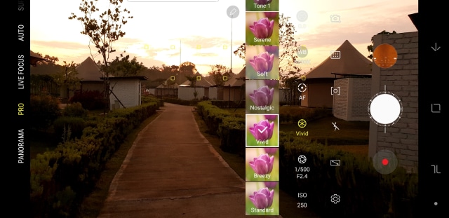 Filter vivid di Galaxy Note 9. (Foto: Muhammad Fikrie/kumparan)