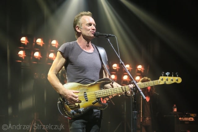 Sting (Foto: www.sting.com/Andrzej Strzelczyk)