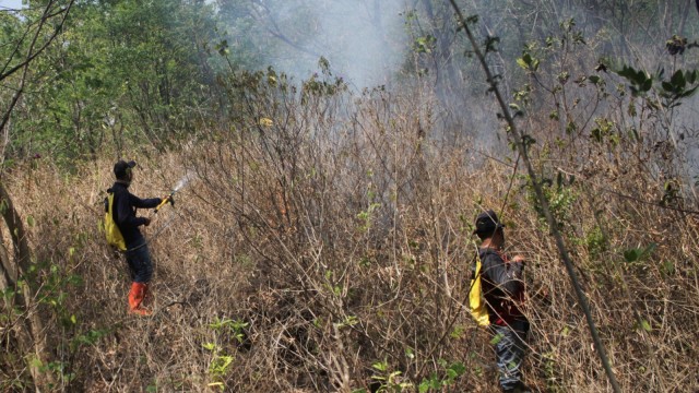 Sudah 3 Hari Kebakaran Terjadi Di Gunung Ciremai Jawa Barat