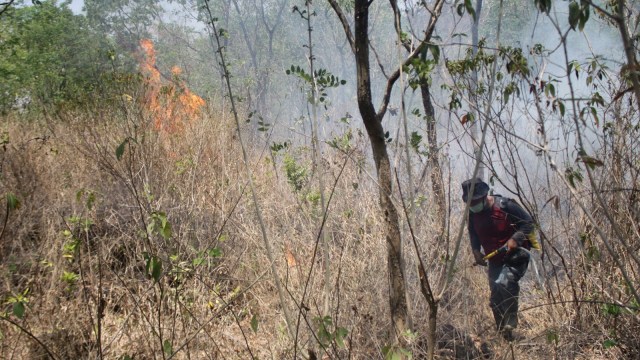 Sudah 12 Hari Kebakaran Di Gunung Ciremai Belum Padam