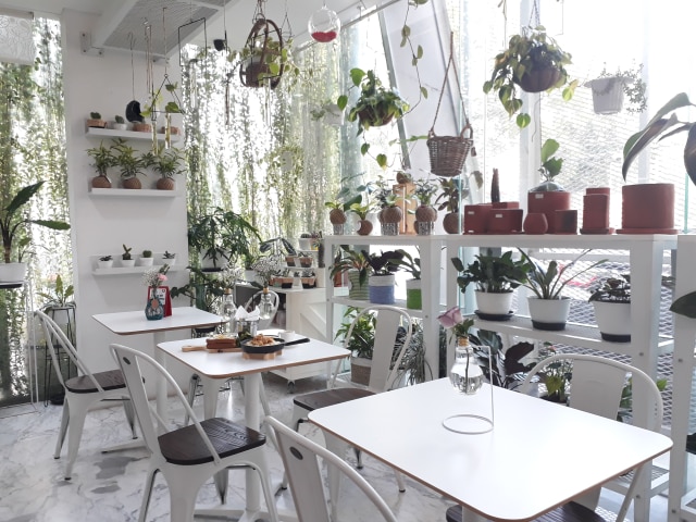 cafe instagramable di jakarta: L.O.F (Plants and Kitchen)
